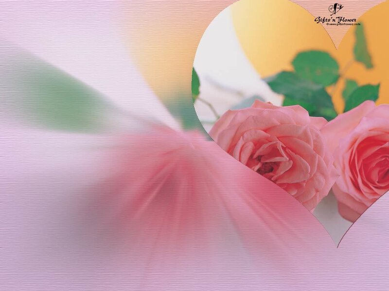 Pink roses in a heart frame