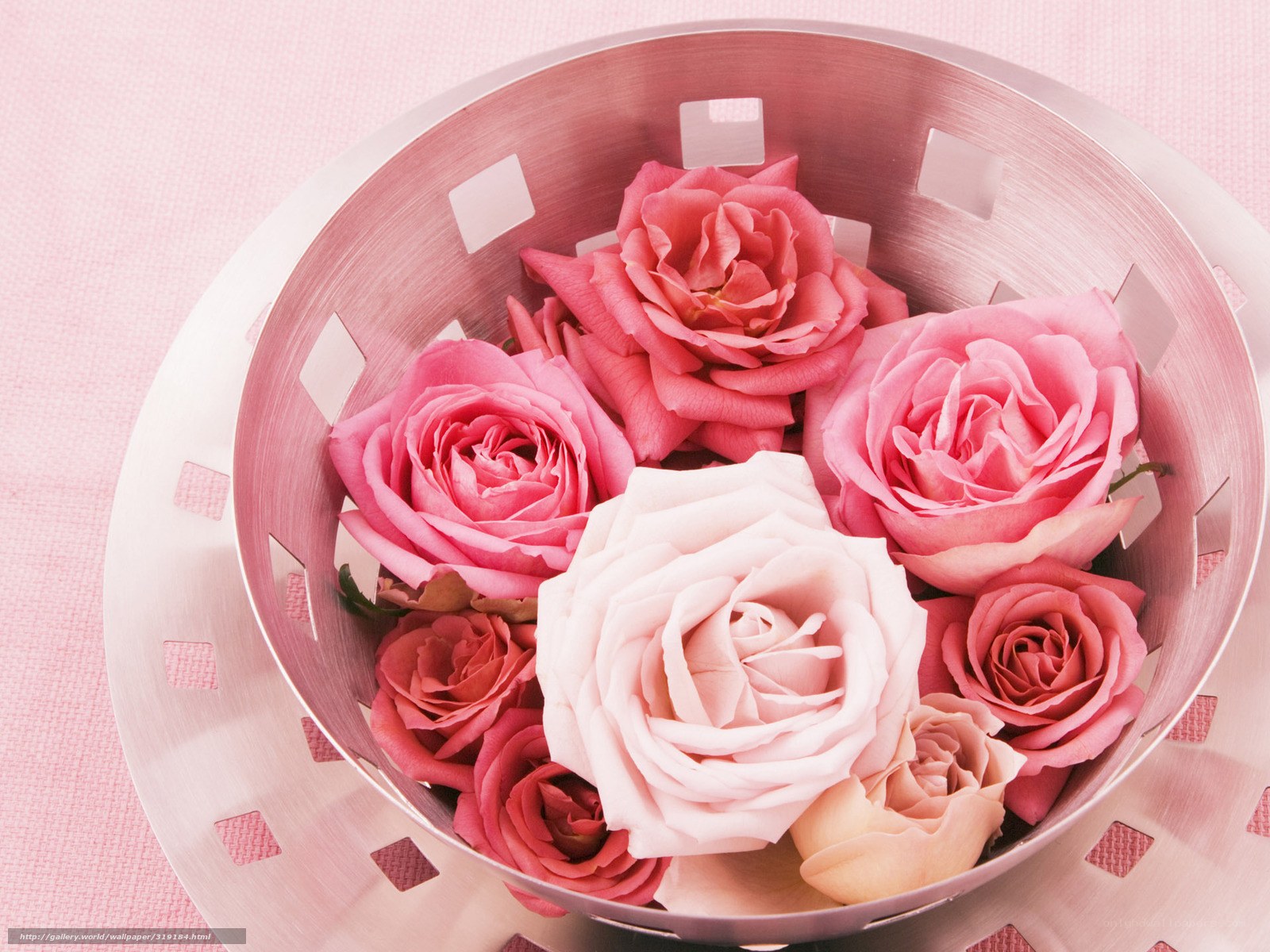 Pink roses in a metal bowl