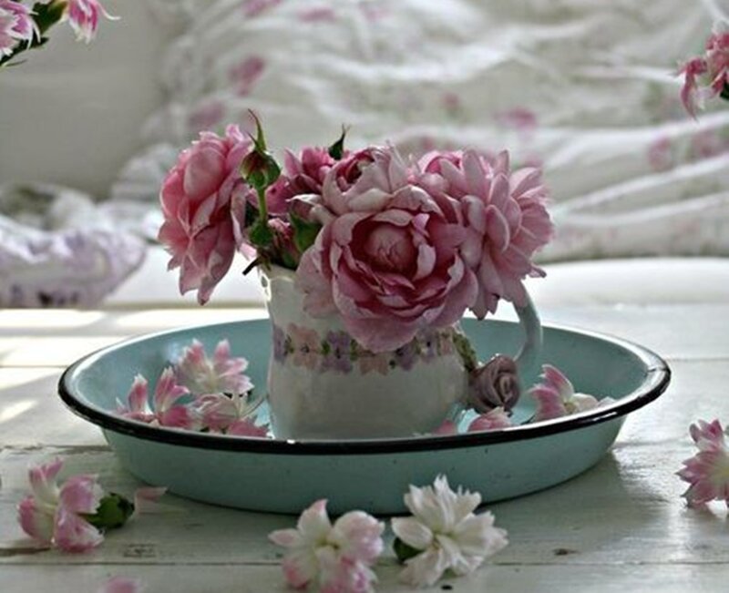 Pink Roses in a Pitcher — Serene, Morning