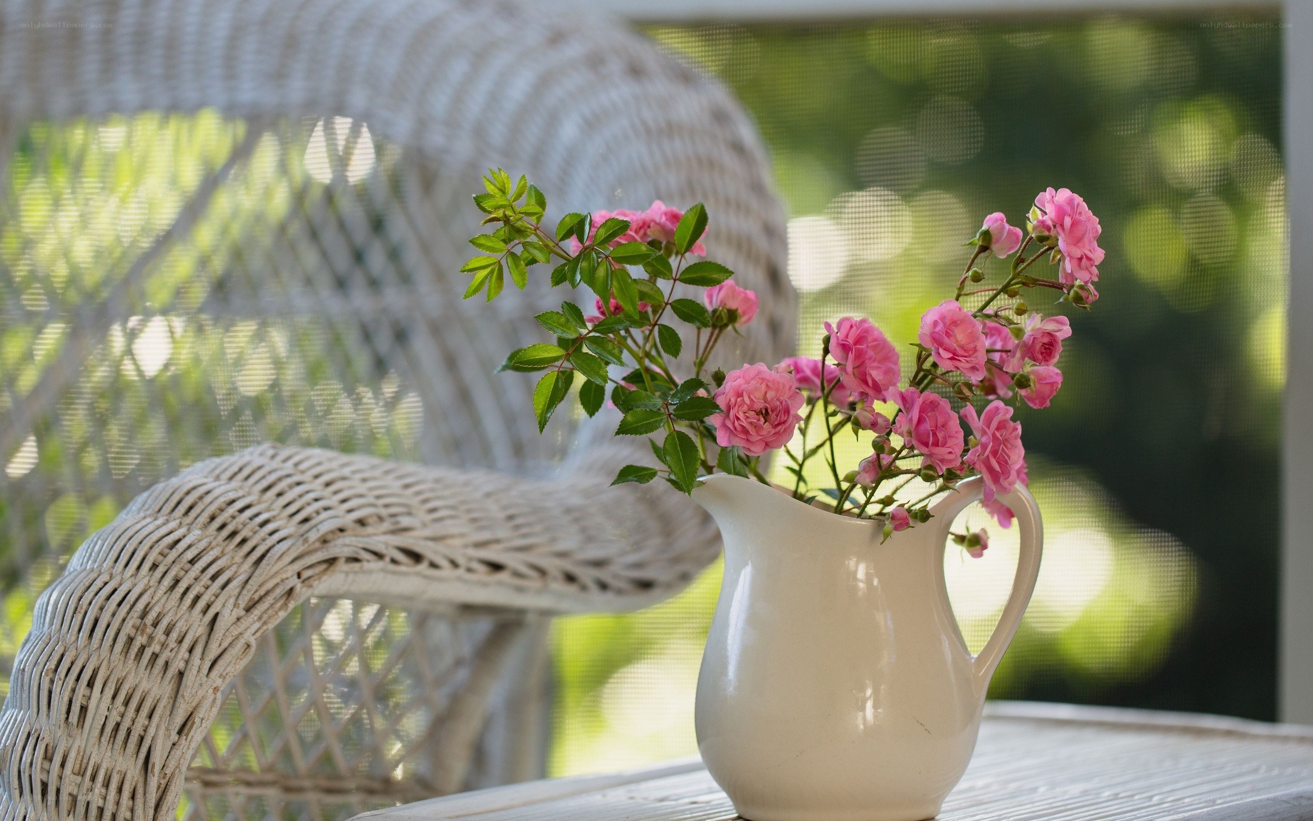 Pink roses in a pitcher
