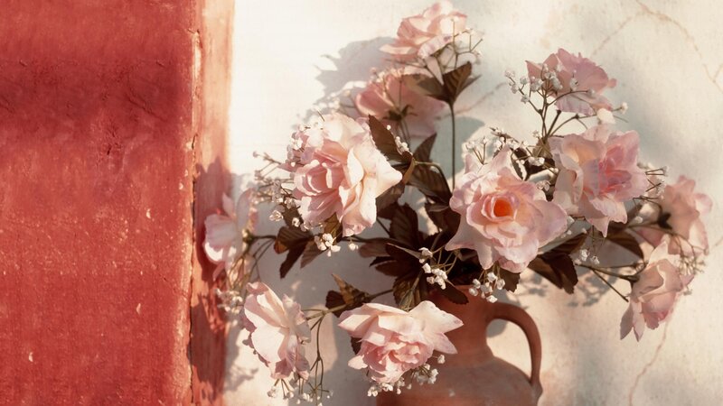 Pink roses in a terracotta jug
