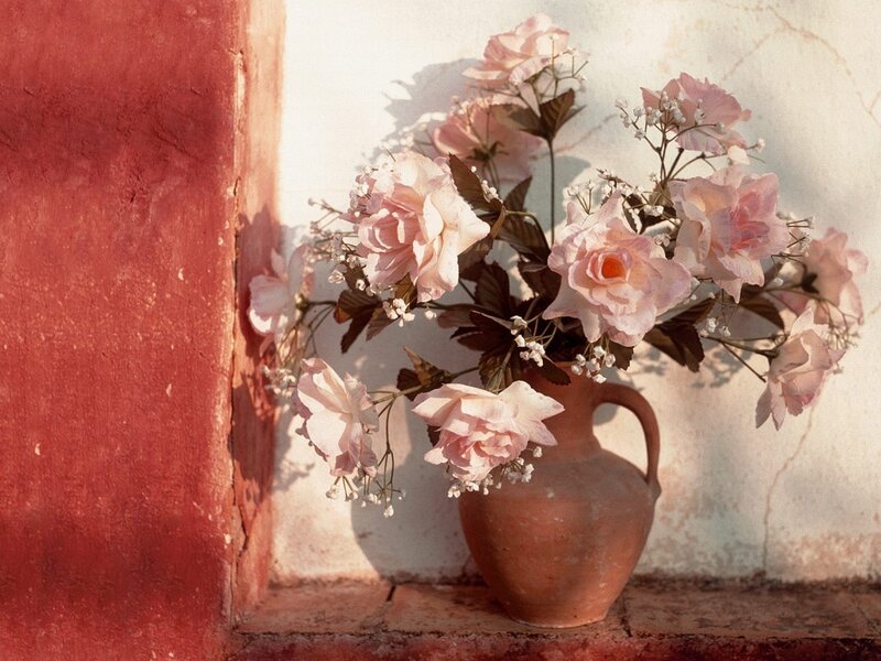 Pink roses in a terracotta vase