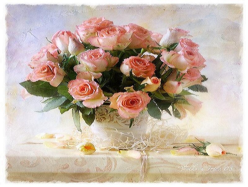 Pink roses in a vase