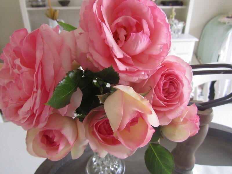 Pink Roses in a Vase — Calm, Afternoon