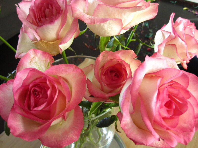 Pink Roses in a Vase — Calm, Photograph, Green Stems