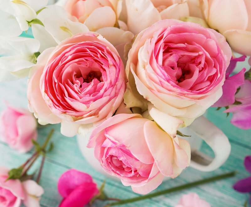 Pink Roses in a Vase — Calm, Photograph, Wooden Surface