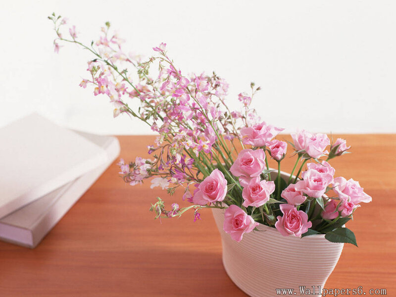 Pink Roses in a Vase — Calm