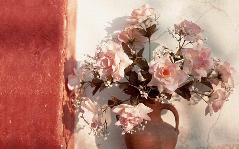 Pink Roses in a Vase — Serene, Afternoon