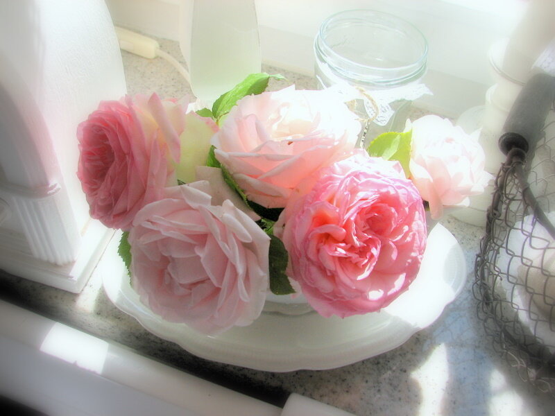 Pink Roses in a Vase — Serene, Morning