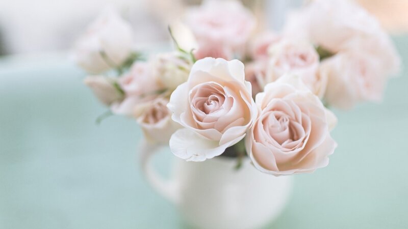 Pink Roses in a Vase — Serene, Photograph, Flowers, Green Surface
