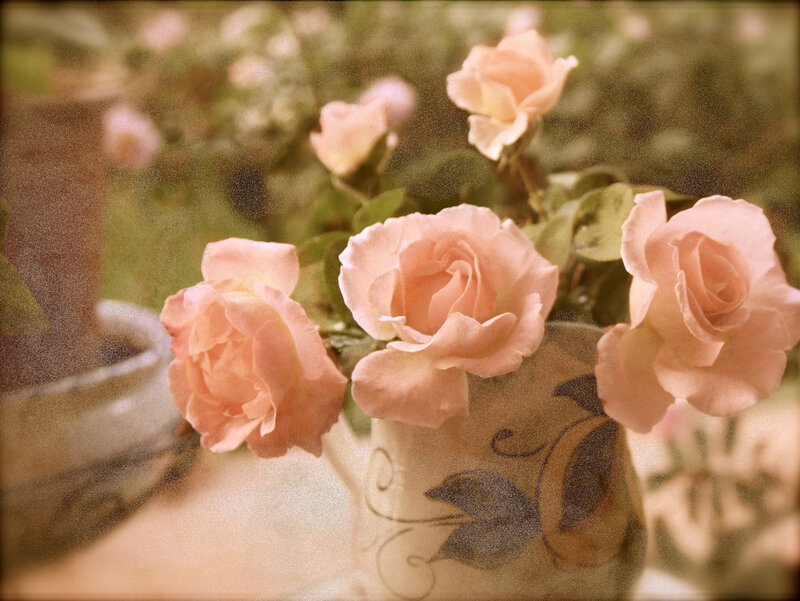 Pink Roses in a Vase — Serene, Photograph, Flowers