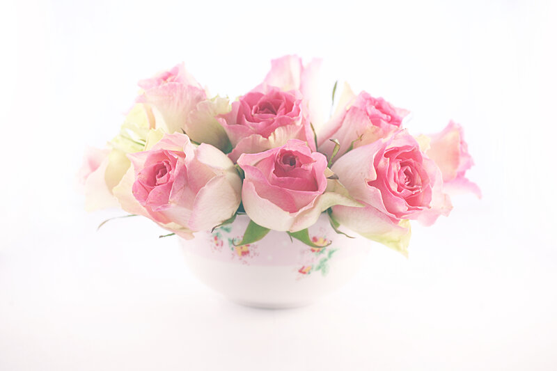 Pink Roses in a Vase — Serene, Photograph, Flowers, White Background