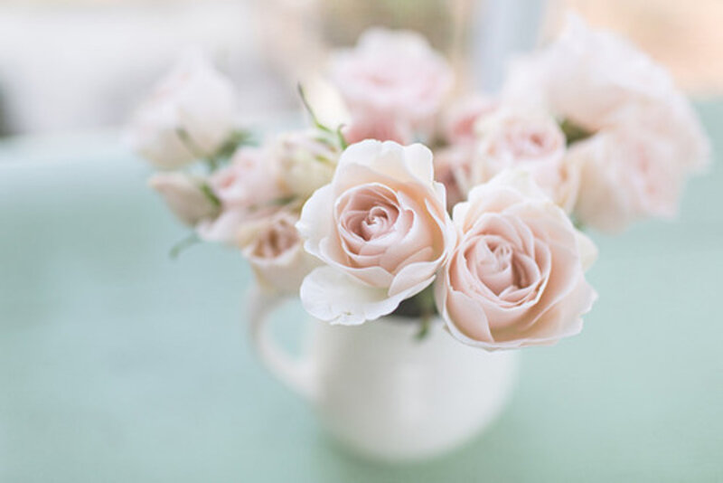 Pink Roses in a Vase — Serene, Photograph, Table