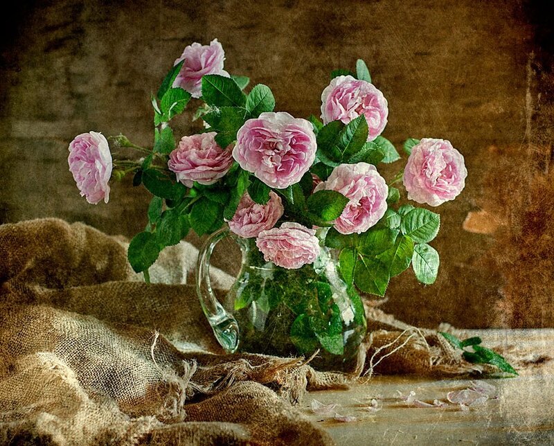 Pink Roses in a Vase — Serene, Photograph