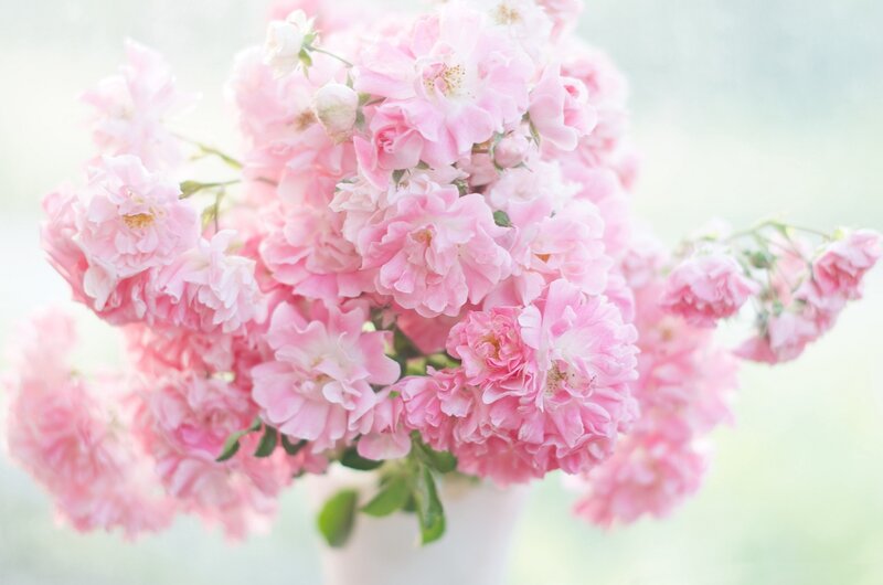 Pink Roses in a Vase — Serene, Spring