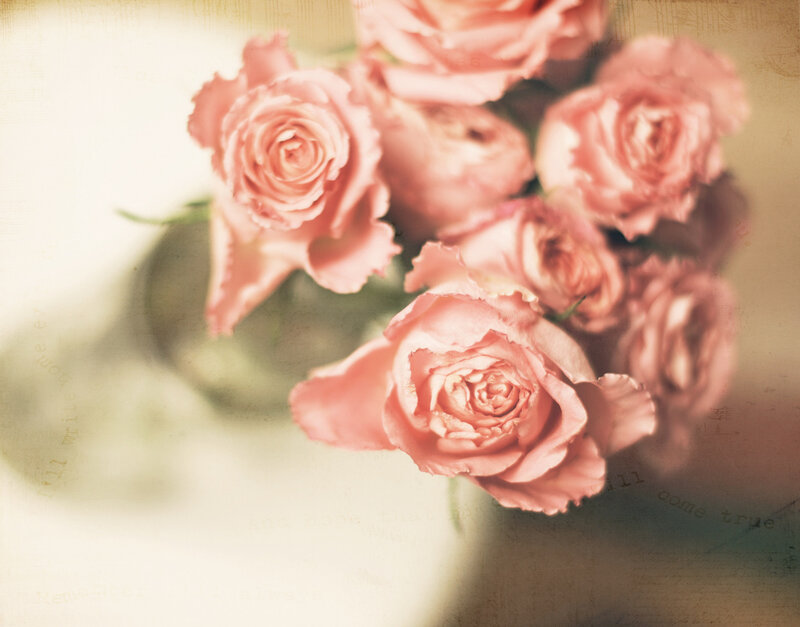 Pink Roses in a Vase — Soft
