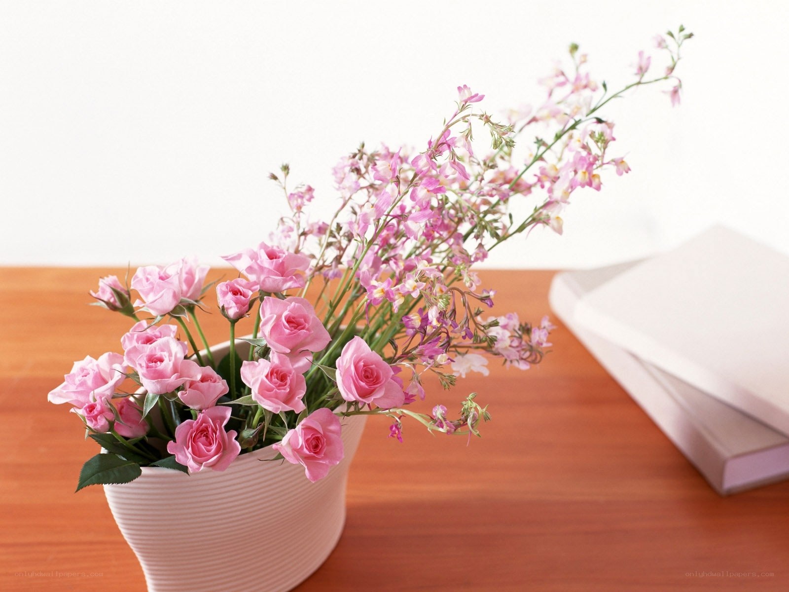 Pink roses in a vase