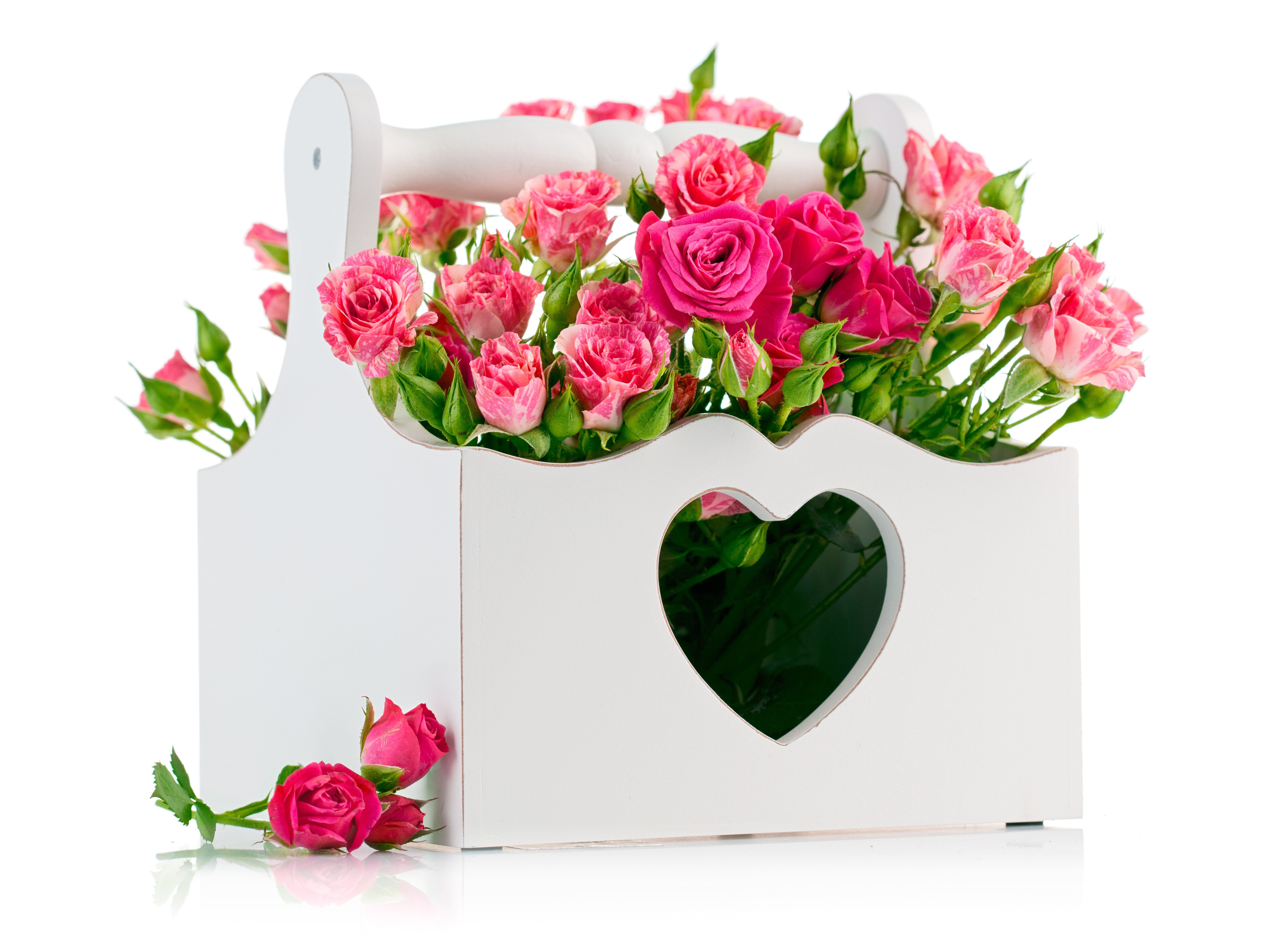 Pink roses in a white basket