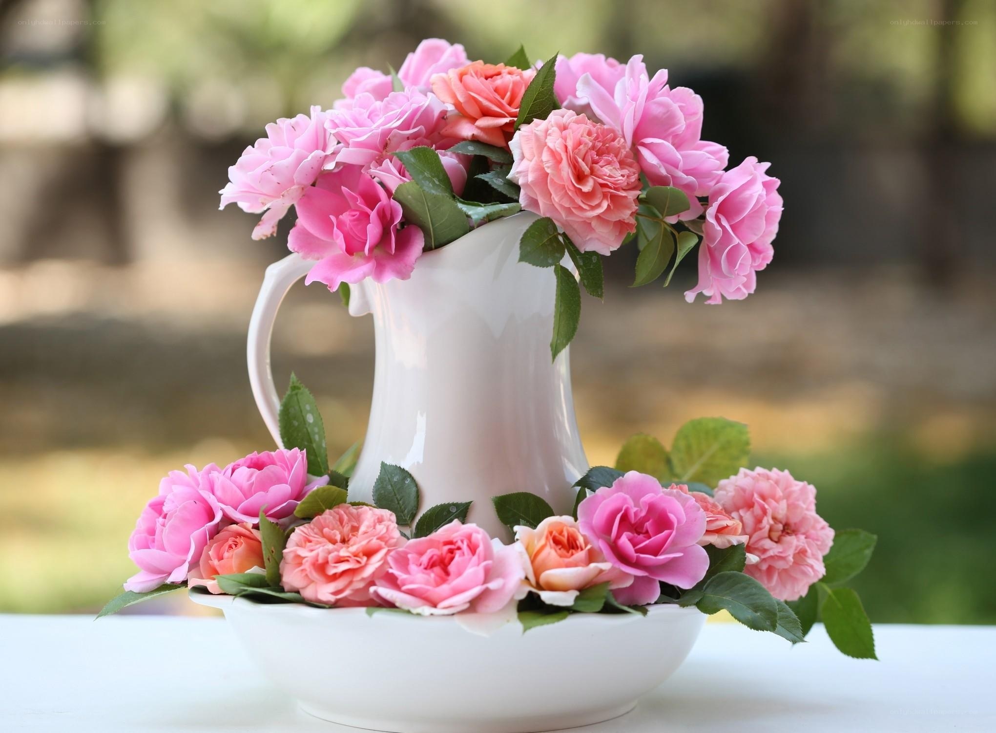 Pink roses in a white pitcher