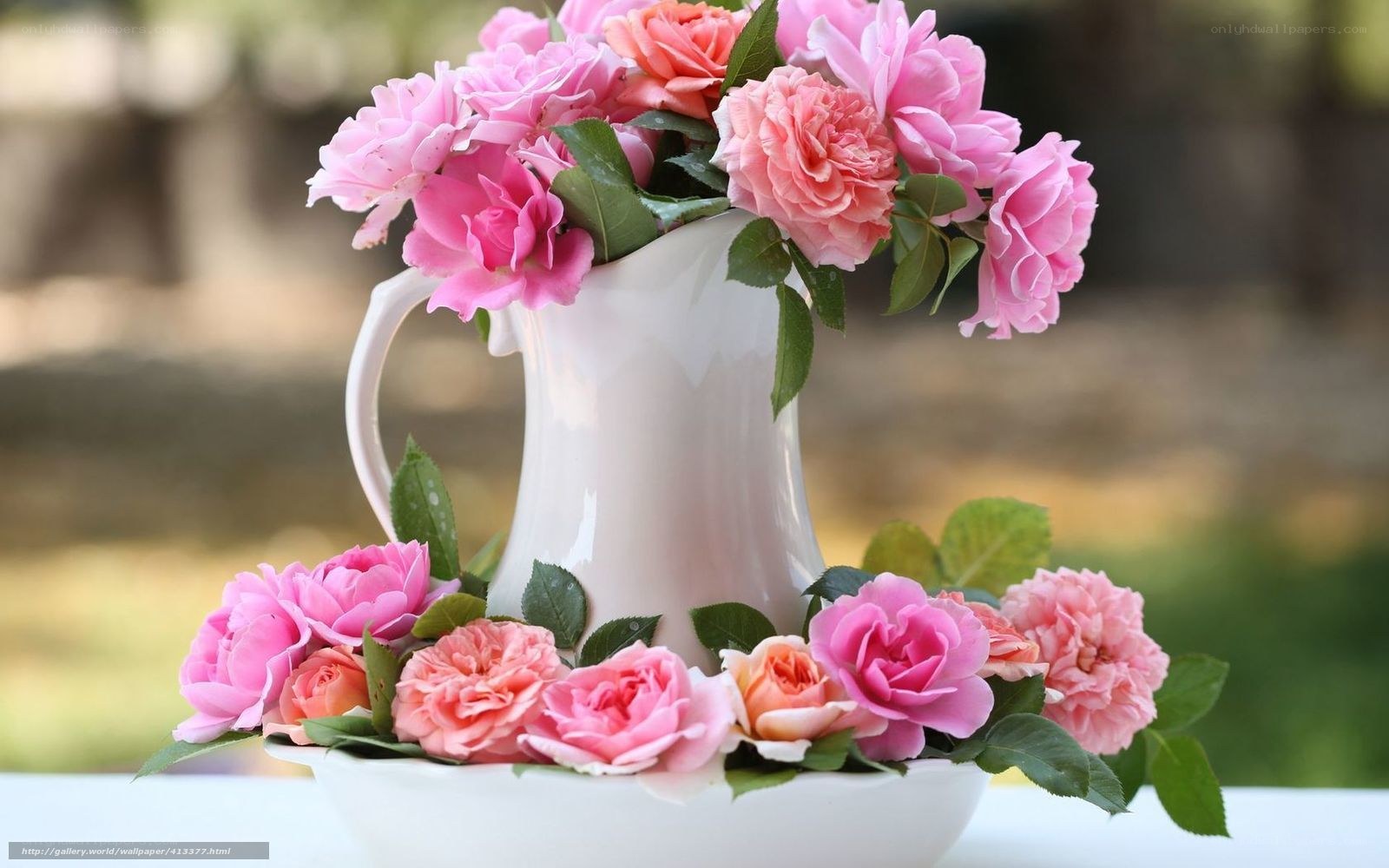 Pink roses in a white pitcher
