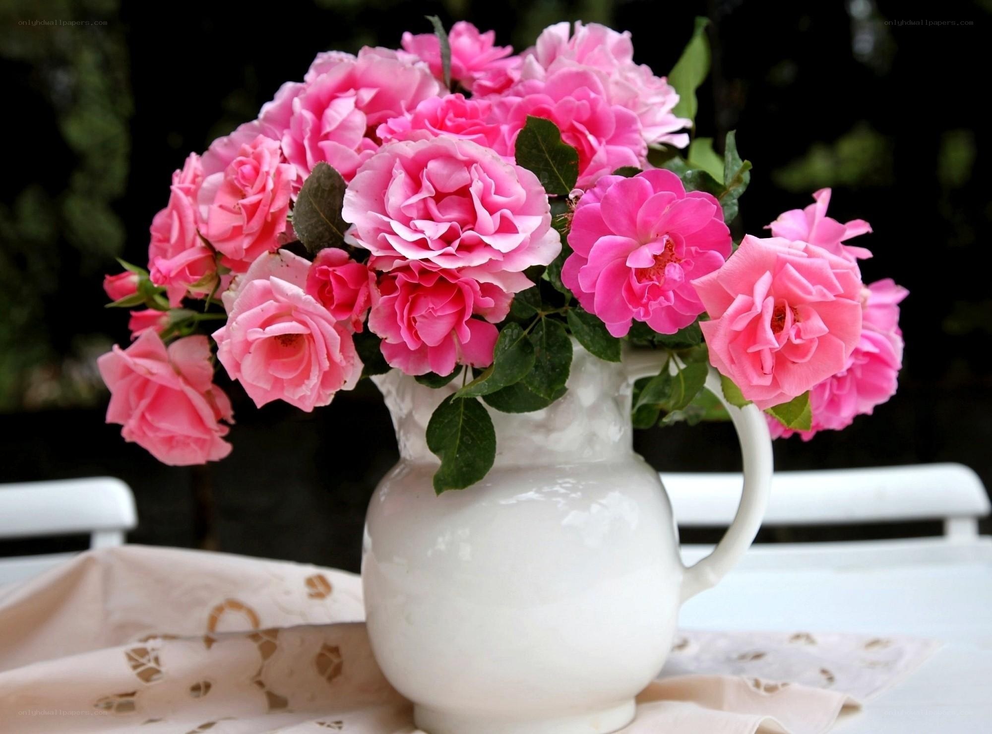 Pink roses in a white pitcher
