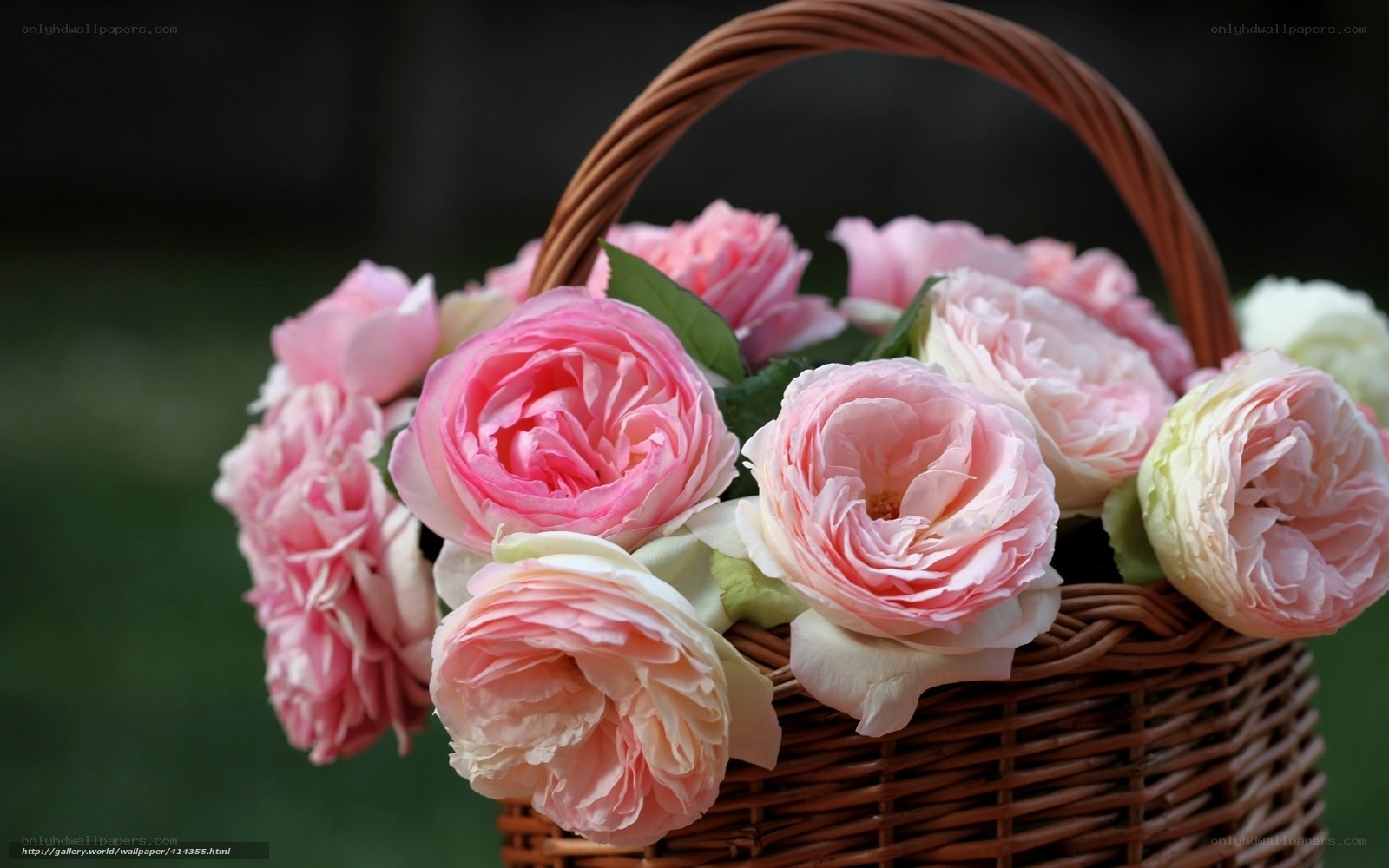 Pink roses in a wicker basket
