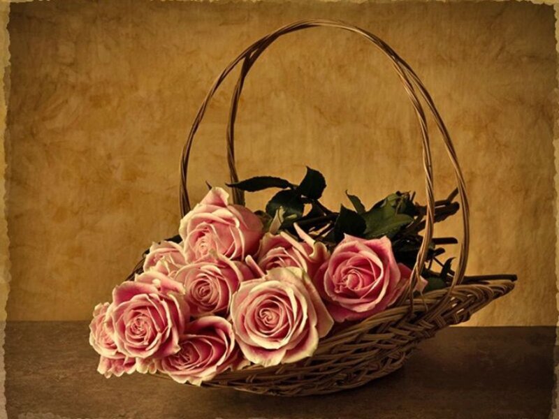 Pink Roses in Basket — Brown