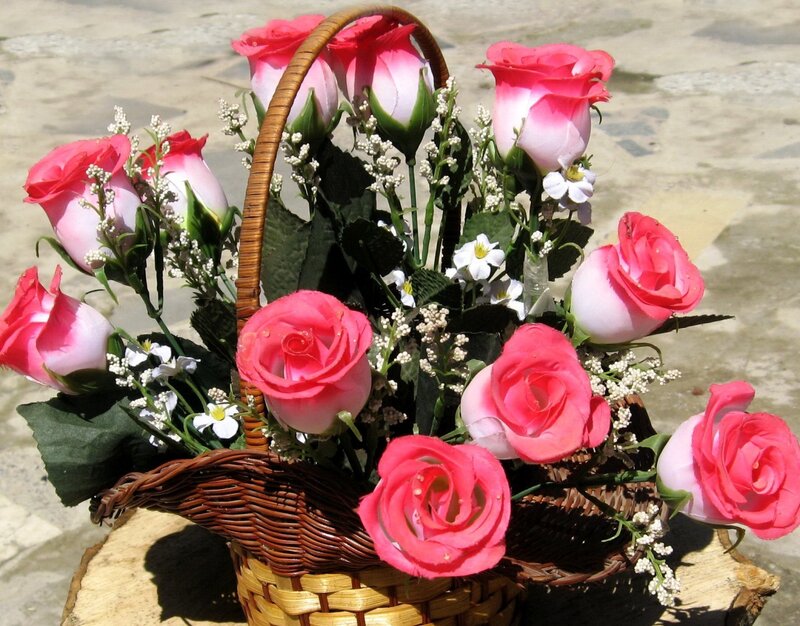 Pink Roses in Basket — Calm, Afternoon
