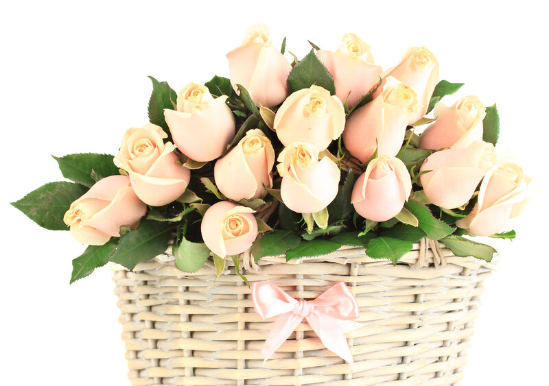 Pink Roses in Basket — Calm, Photograph, Bow