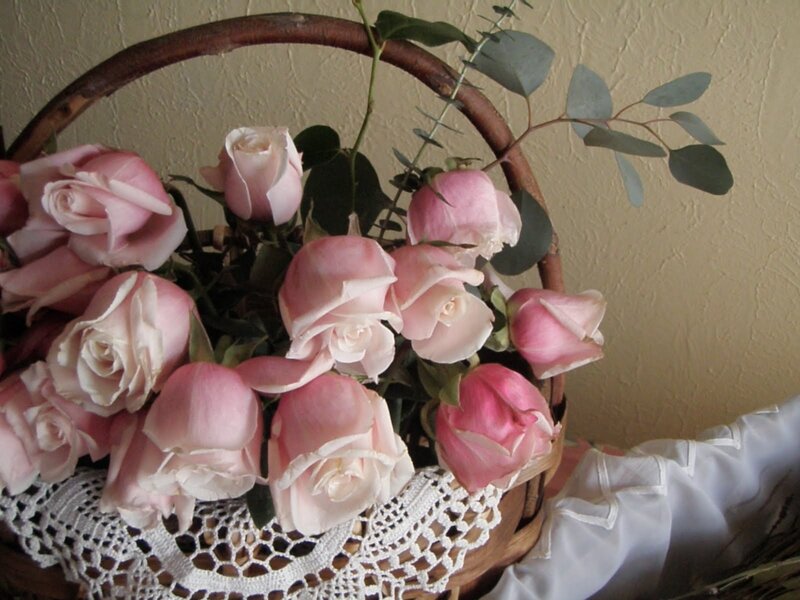 Pink Roses in Basket — Calm, Photograph, Eucalyptus