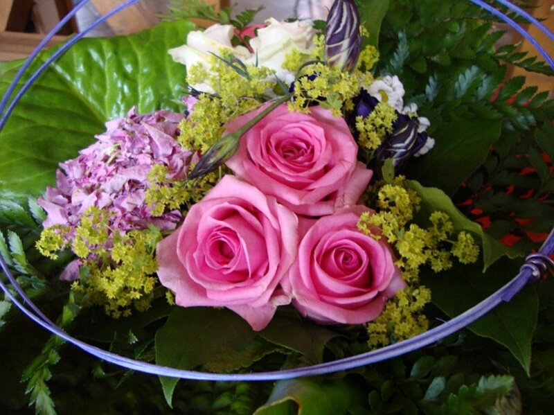 Pink Roses in Basket — Calm, Photograph, Hydrangea