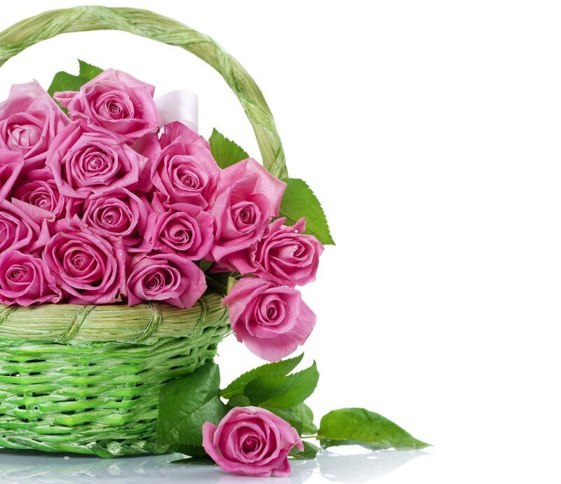 Pink Roses in Basket — Calm, Photograph