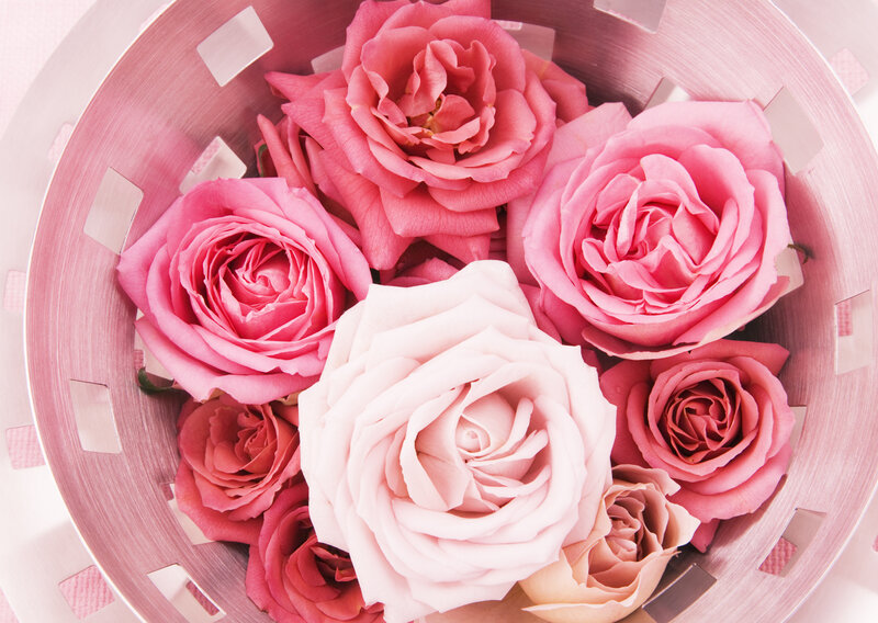 Pink Roses in Basket — Calm