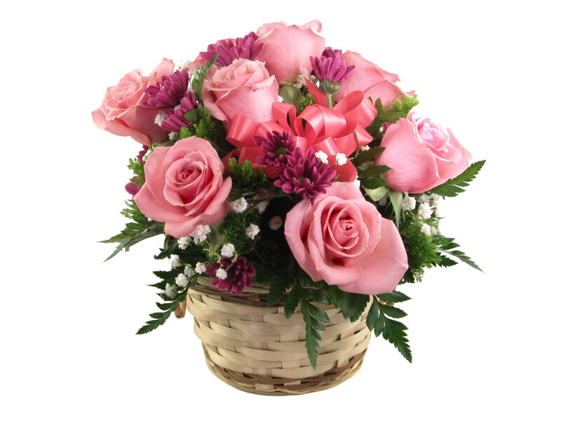 Pink Roses in Basket — Festive