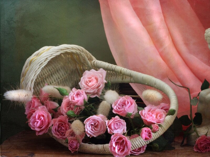 Pink Roses in Basket — Serene, Photograph, Flowers