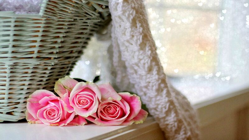 Pink Roses in Basket — Serene, Photograph, Flowers, Window