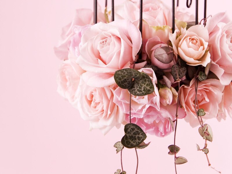 Pink Roses in Basket — Serene, Photograph, Leaves, Green