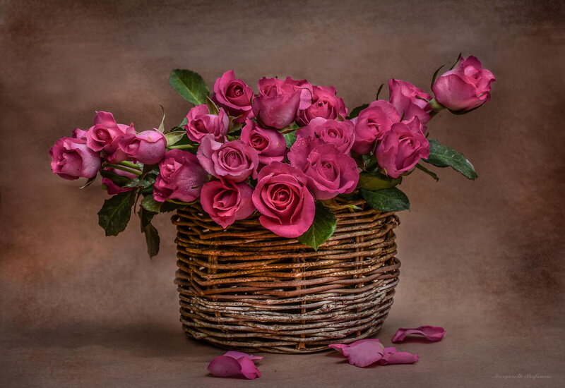 Pink Roses in Basket — Serene, Photograph, Petals