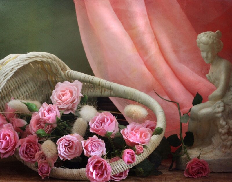Pink Roses in Basket — Serene, Photograph