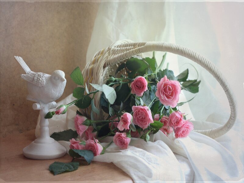 Pink Roses in Basket — Serene