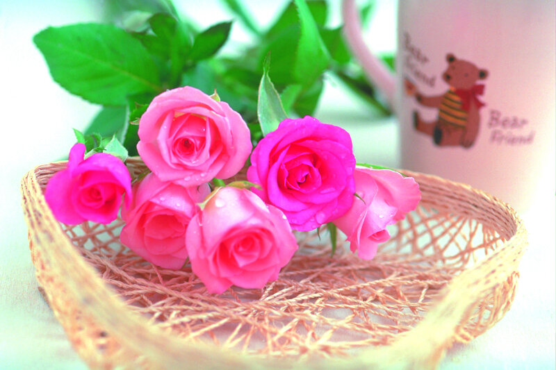 Pink Roses in Basket