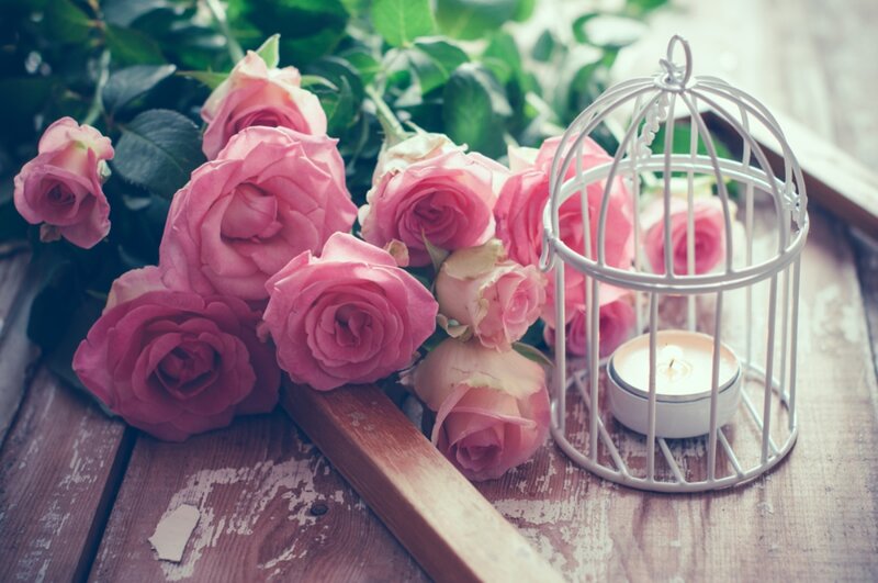 Pink Roses in Birdcage — Serene