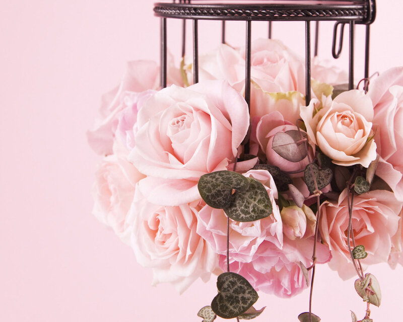 Pink Roses in Birdcage