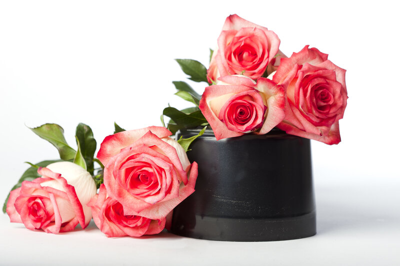 Pink Roses in Black Pot