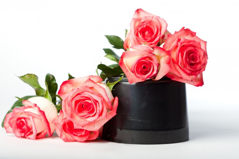 Pink Roses in Black Vase