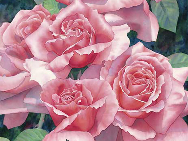 Pink Roses in Bloom — Calm, Painting