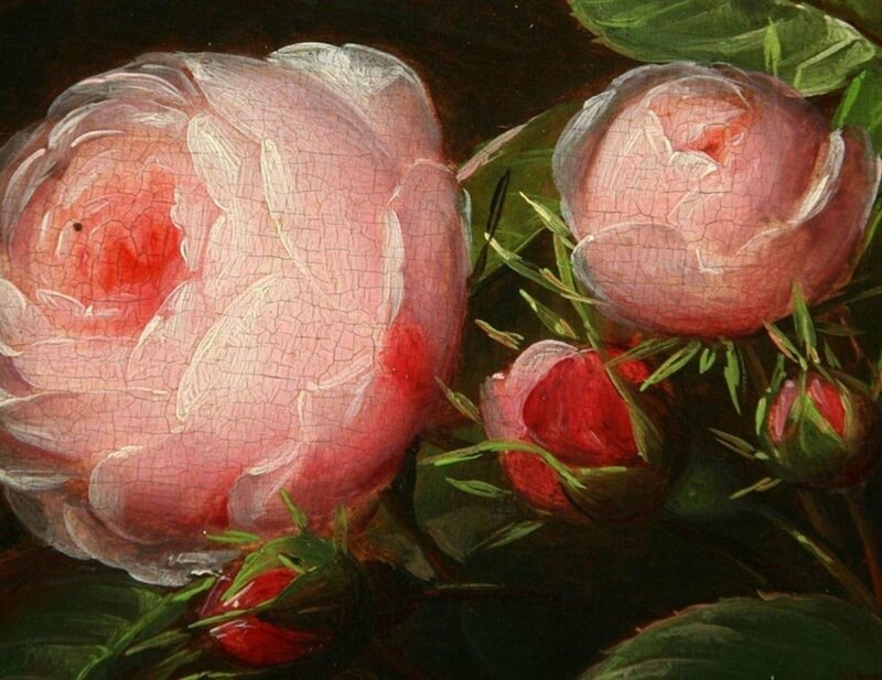 Pink Roses in Bloom — Dramatic, Painting