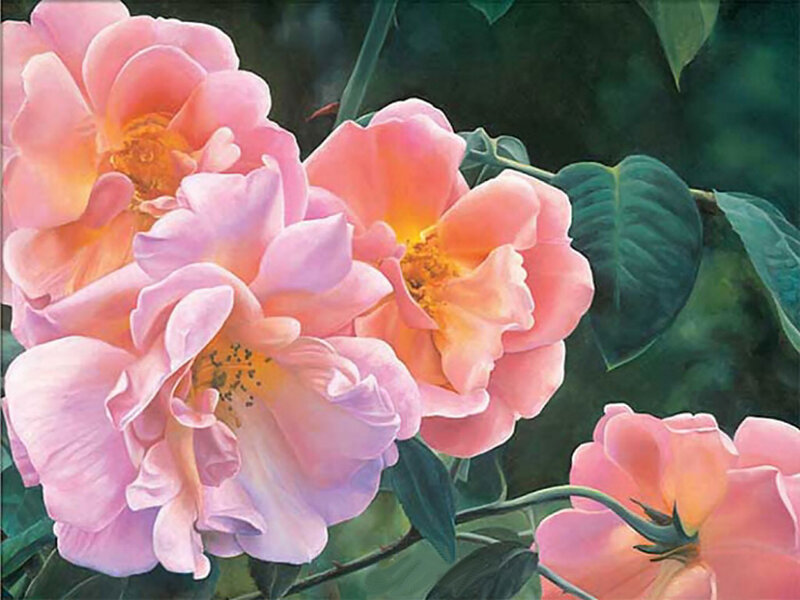 Pink Roses in Bloom — Serene, Painting