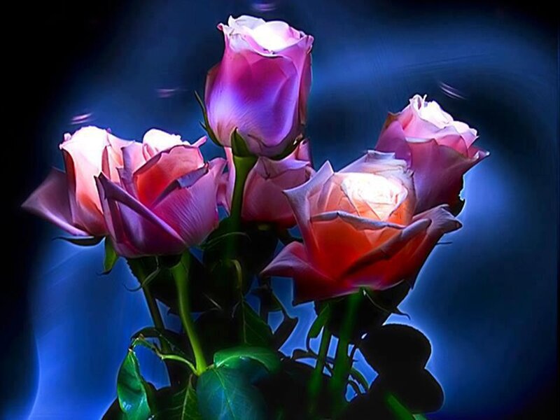 Pink Roses in Bouquet — Blue
