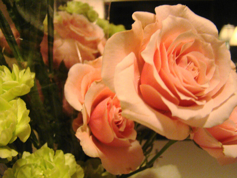 Pink Roses in Bouquet — Calm, Photograph, Green Flowers